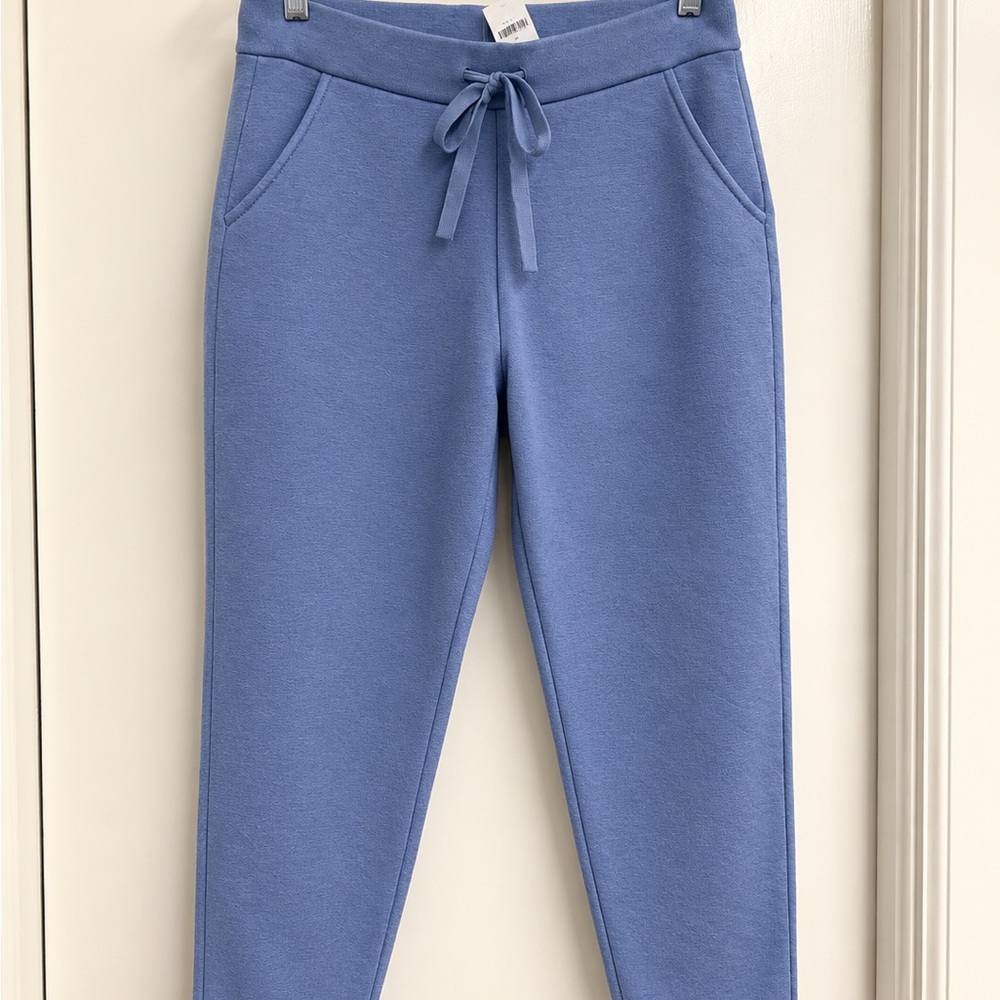 Banana Republic Women's Blue Drawstring Jogger Pants